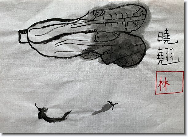 Click for the original image